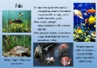 Презентація з природознавства "Тварини водного середовища" 4 клас